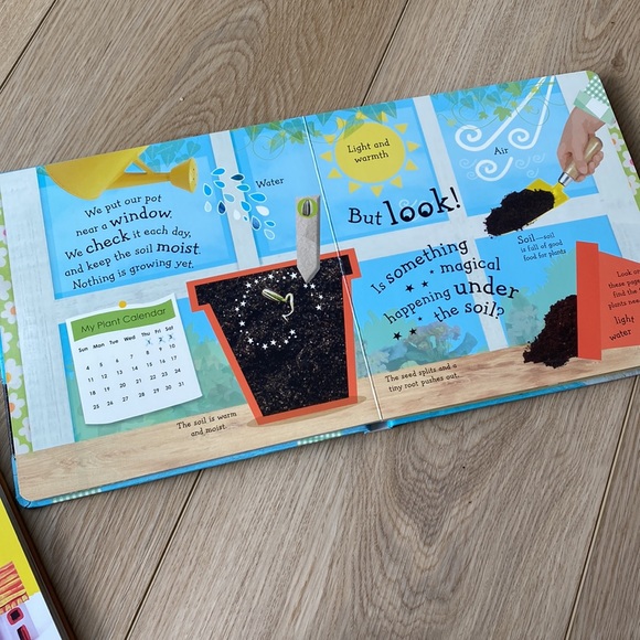 Children’s Book Bundle | Out of the Box | I Can Grow A Flower with Height Chart - Picture 5 of 8